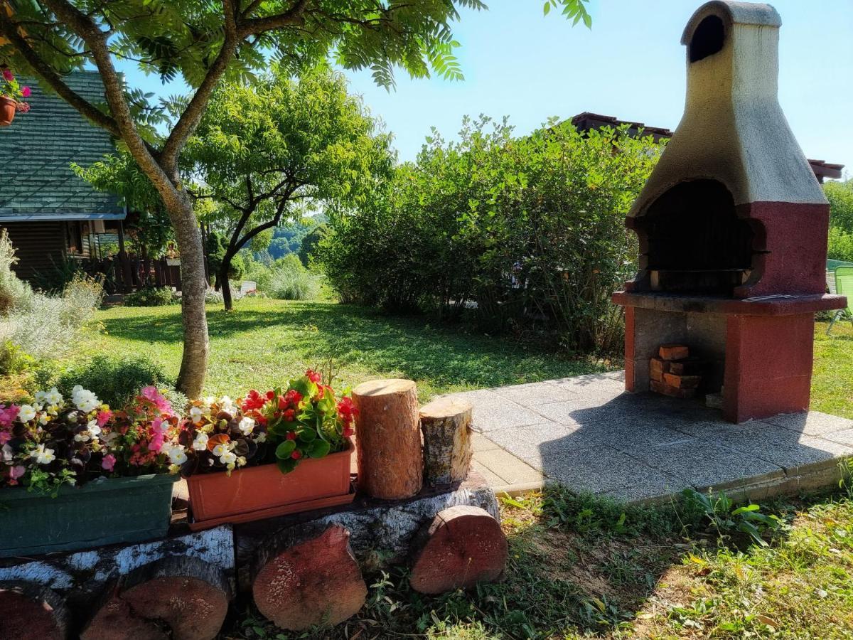Guesthouse Mreznica- Mreznicka Idila Resort Galovic-Selo 外观 照片