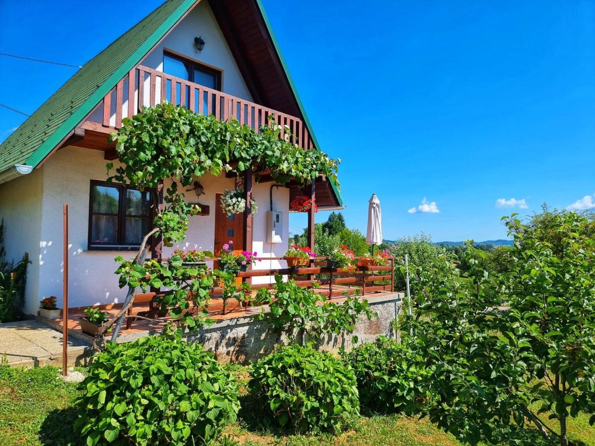 Guesthouse Mreznica- Mreznicka Idila Resort Galovic-Selo 外观 照片