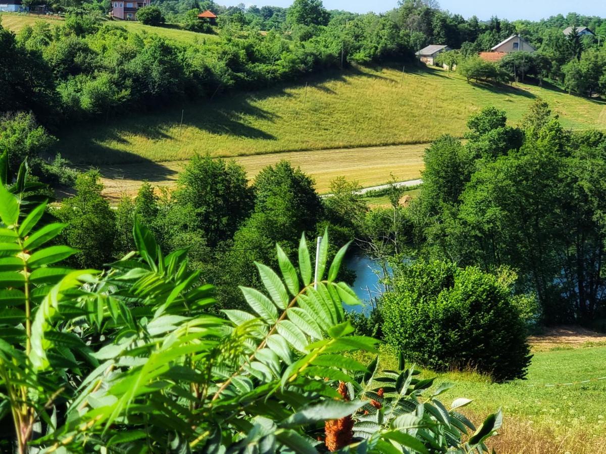 Guesthouse Mreznica- Mreznicka Idila Resort Galovic-Selo 外观 照片