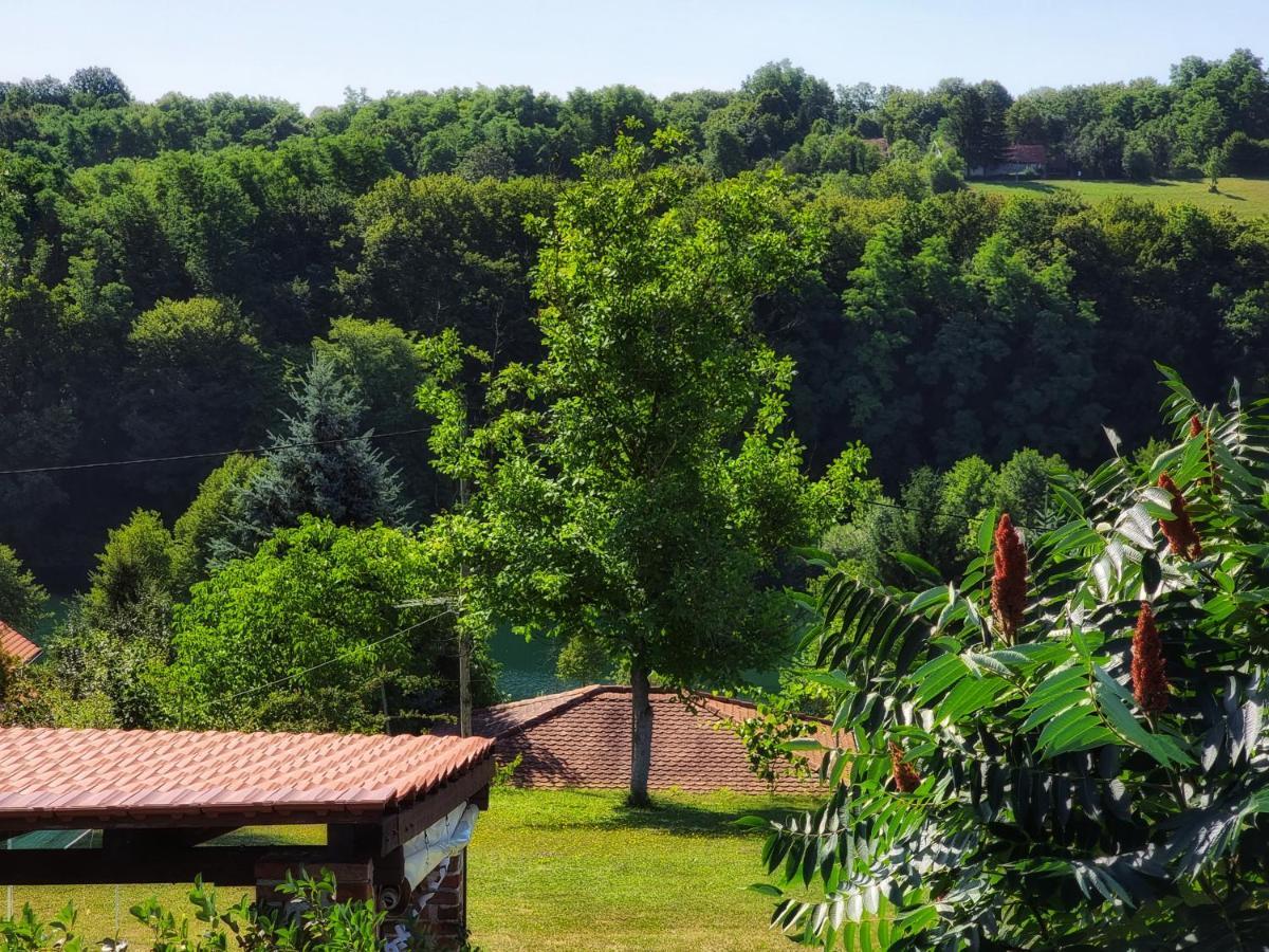 Guesthouse Mreznica- Mreznicka Idila Resort Galovic-Selo 外观 照片
